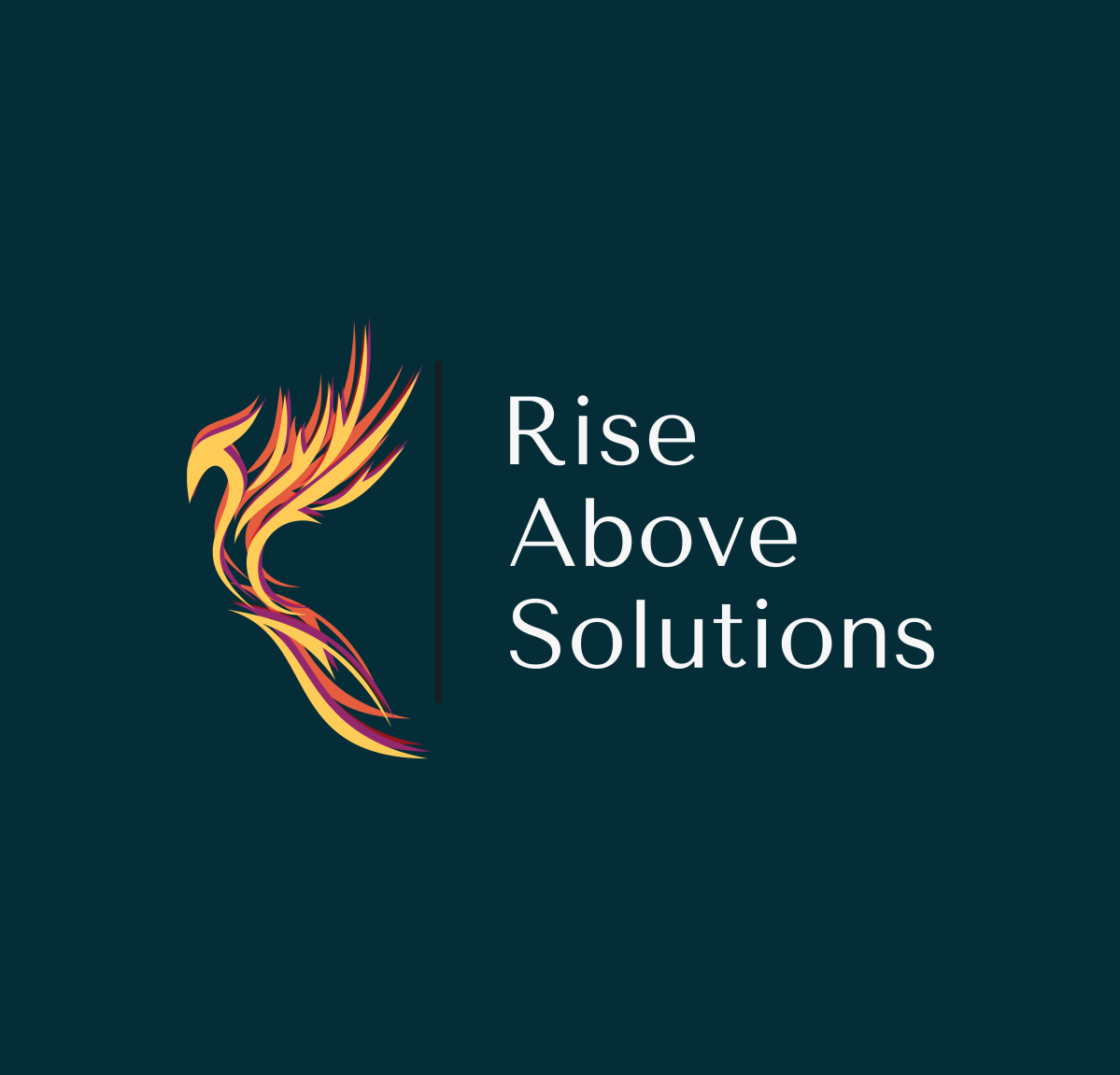 Rise Above Solutions – Sensible solutions for tough HR problems